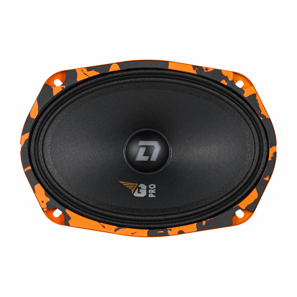 DL Audio Gryphon Pro 69 SE | Эстрадная акустика 15х23 см. (6х9")
