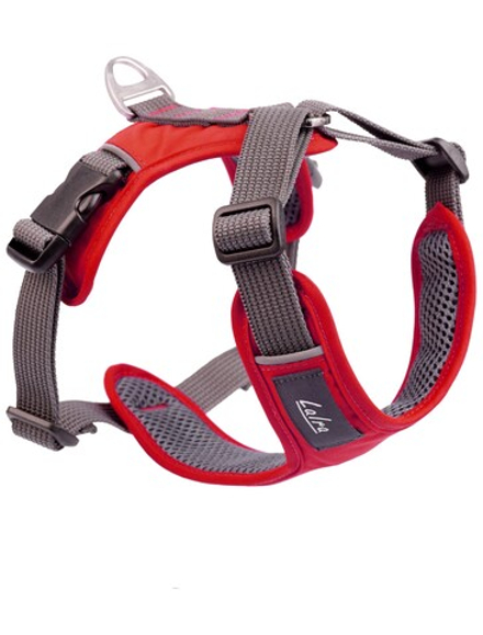 Шлейка для собак прогулочная " КОКО"