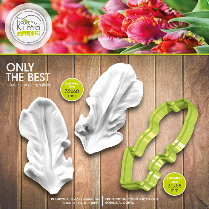 Тюльпан Рококо лепесток