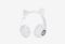 KENSHI Cat_0226522102318