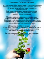Крыжовник Мускатный десертный сладкий