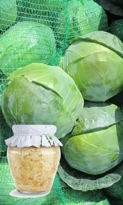 Семена Капуста белокочанная Засолочная 0,3 гр (Марс) Б/П