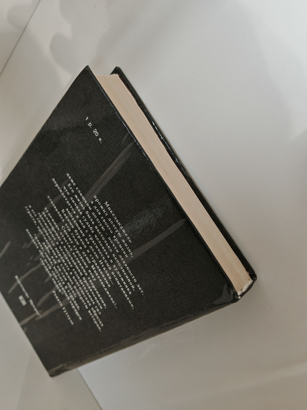 Дневник Микеланджело Неистового