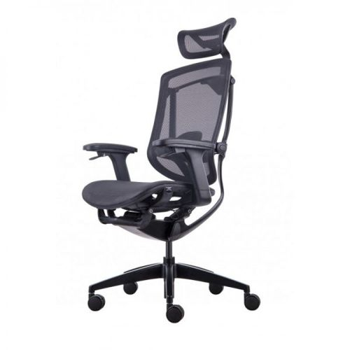 Премиум эргономичное кресло GT Chair InFlex X