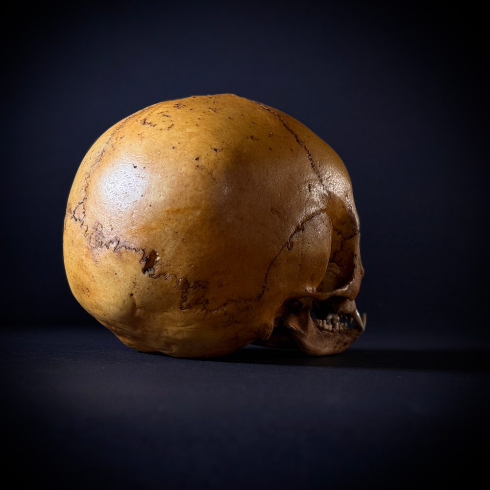 Маленький монстр