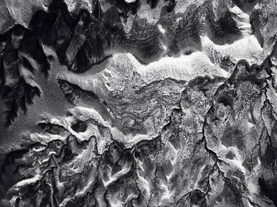 Дизайнерские обои Wall Street Bird see