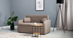 Тео Диван-кровать (120) (Danco 290 (бежевый))