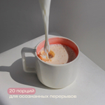 RE-FEEL Чай-латте с чагой и специями (дойпак 400г)