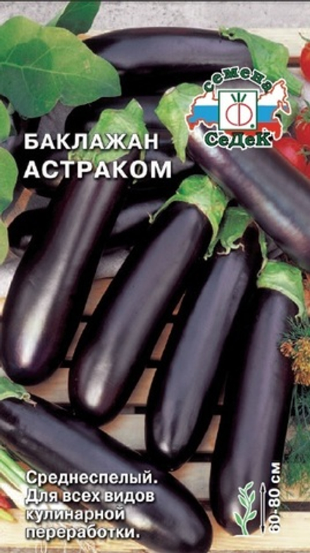 баклажан Астраком