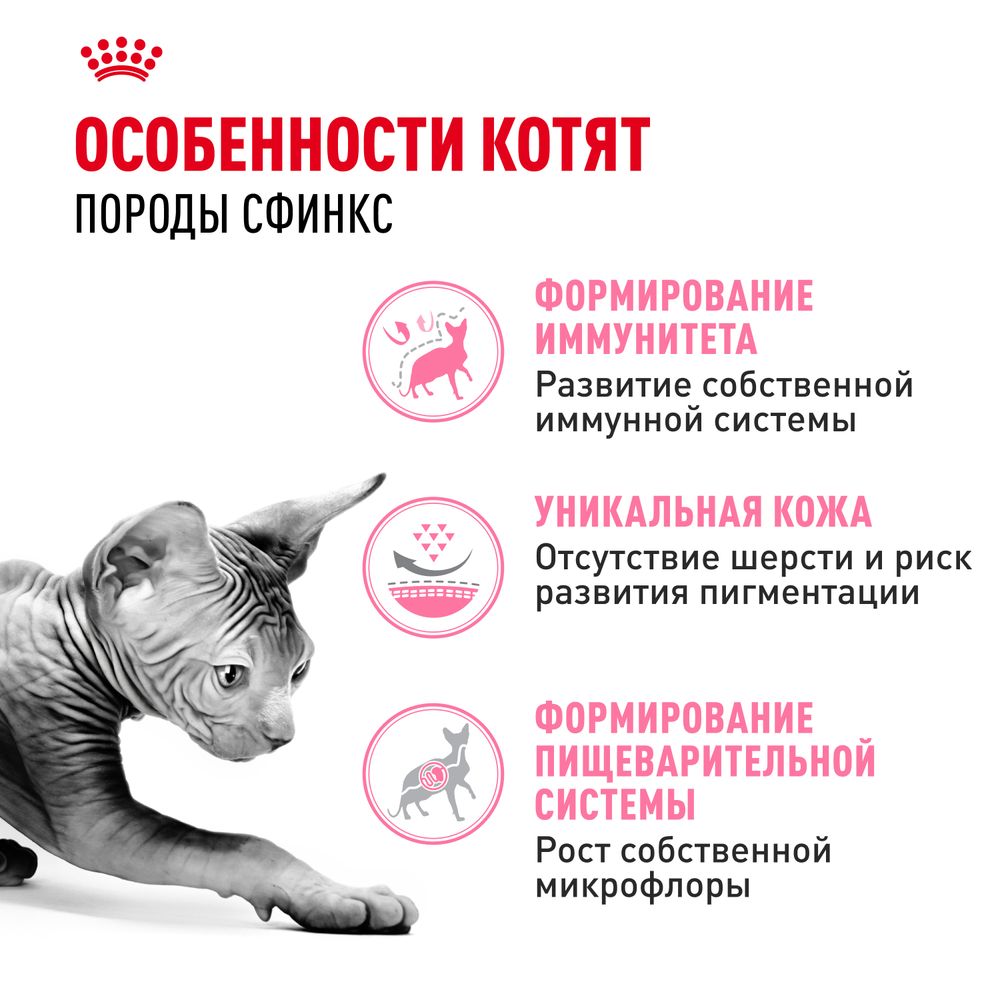 Сухой корм Royal Canin Kitten Sphynx для котят породы Сфинкс до 12 месяцев Сухой корм Royal Canin Kitten Sphynx для котят породы Сфинкс до 12 месяцев