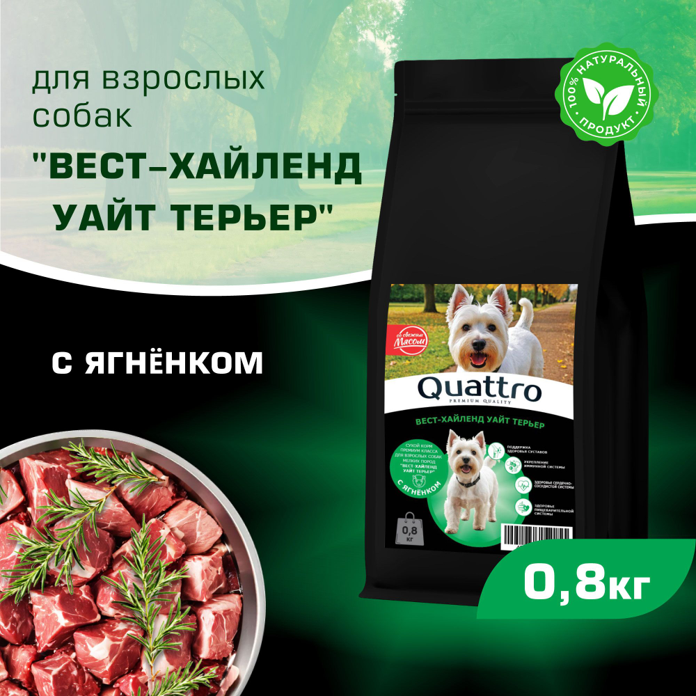 Корм сухой для взрослых собак породы Вест-хайленд уайт терьер, с ягненком, 800 гр, QUATTRO