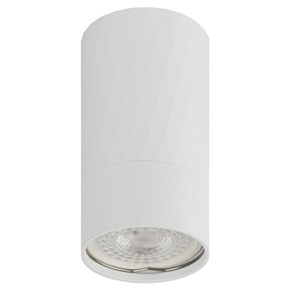 Светильник настенно-потолочный спот ЭРА OL31 WH MR16 GU10 IP20 белый | Накладные светильники