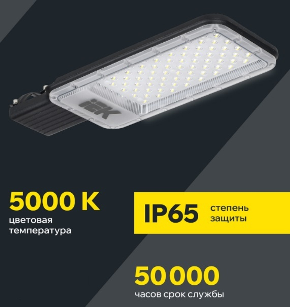 Светильник светодиодный консольный IEK LT-DKU1-1011-100-50-K03