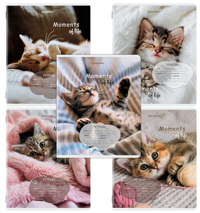 Тетрадь А5 18л. клет. "Котята" обложка картон (BRAUBERG)