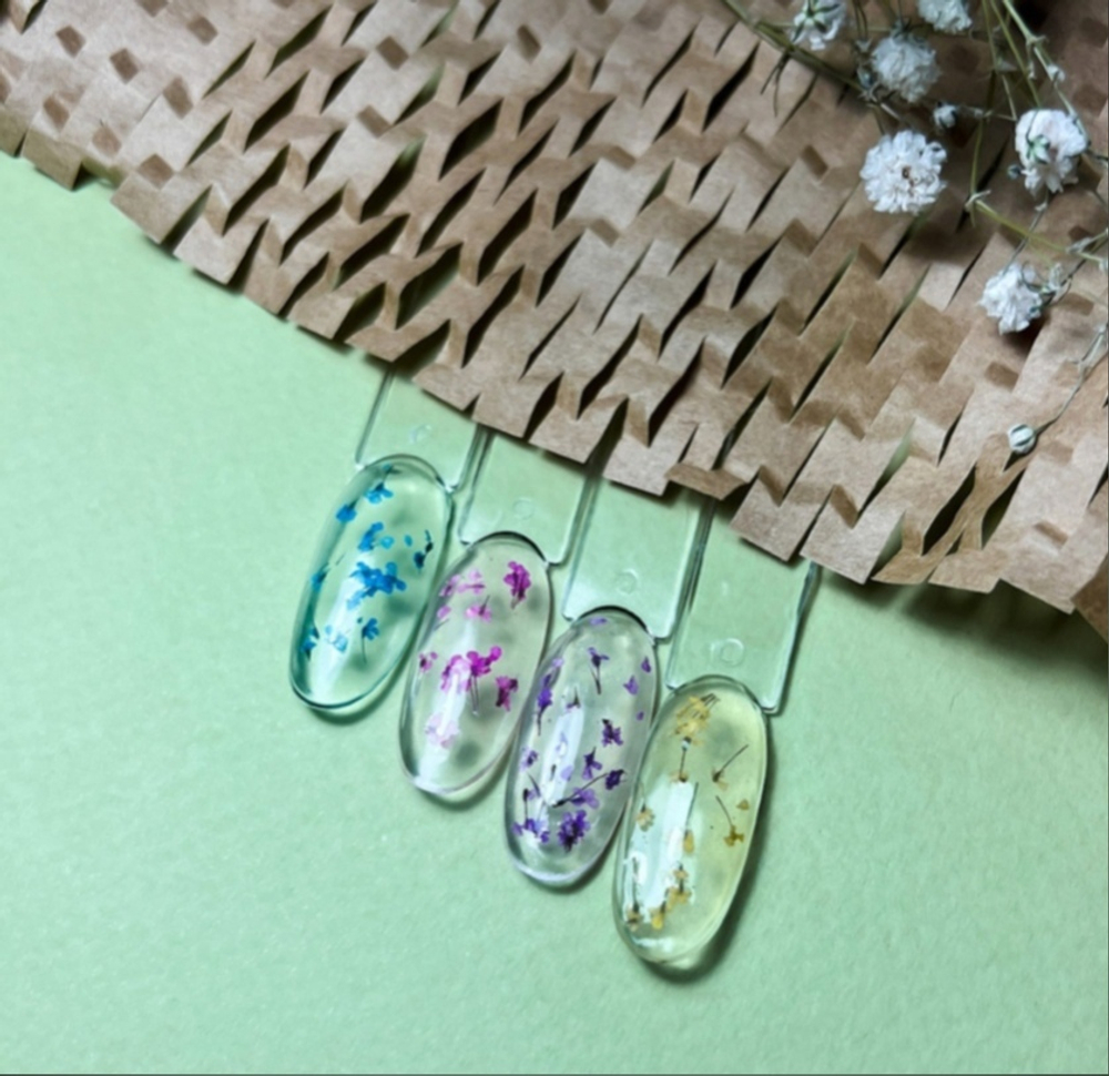 KLIO FLOWERS TOP Aster