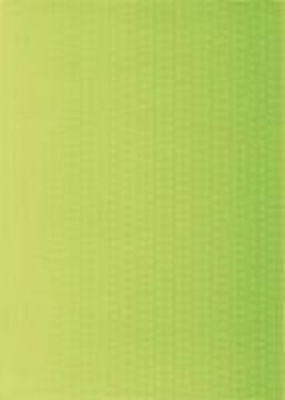 Плитка облиц СТИЛЬ  250х350  (уп 16 шт - 1,4  кв.м.)