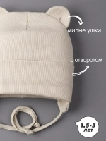 Шапка детская с ушками на завязках на осень