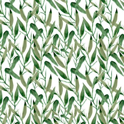 зеленый бамбук