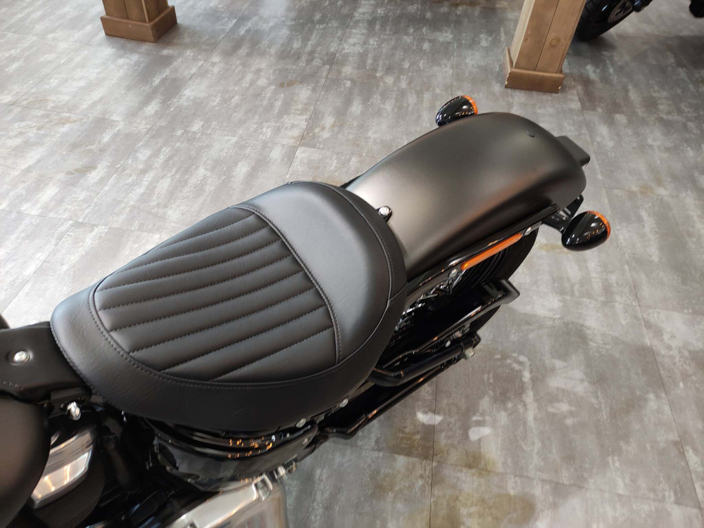 Softail Slim 2021 Harley-Davidson River Rock Gray Denim / Black Denim