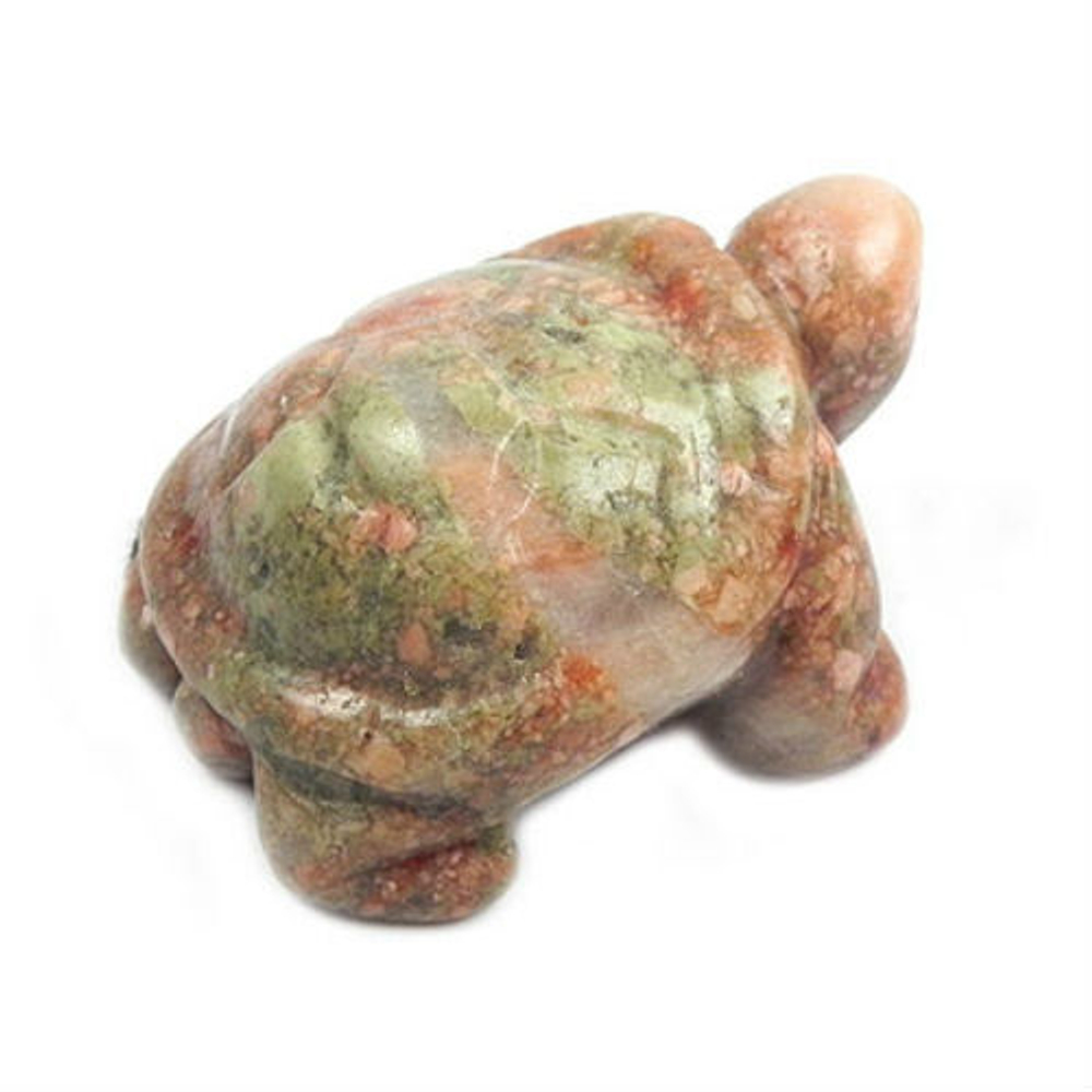 Черепаха унакит асс.