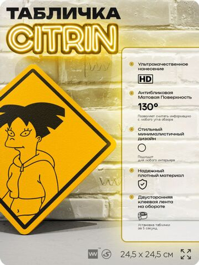 Табличка декоративная "Эми Вонг" из мультсериала Футурама, Futurama на дверь и стену, прикольная штука в подарок фанату, декоративный знак ЦИТРИН, 24,5х24,5 см, пластиковая, Айдентика Технолоджи