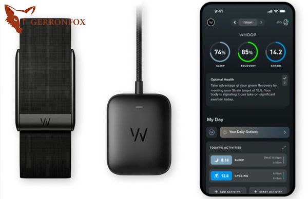 Фитнес-трекер WHOOP 5.0 описание как пользоваться и настройка