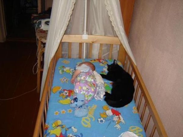 Кошка и маленький ребенок: полезно или опасно?
