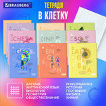 Тетради предметные со справочным материалом комплект 12 ПРЕДМЕТОВ 48 л. обложка картон BRAUBERG "VISION" (2 штуки в упаковке)