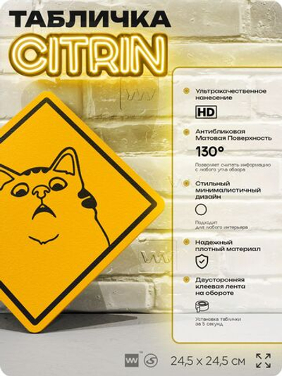 Табличка мем "Кот смотрит вверх" шуточная прикольная табличка на дверь и стену, для офиса и дома, декоративный знак, 24,5х24,5 см, пластиковая, Айдентика Технолоджи