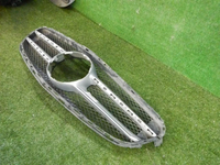 DSCN8218.jpg