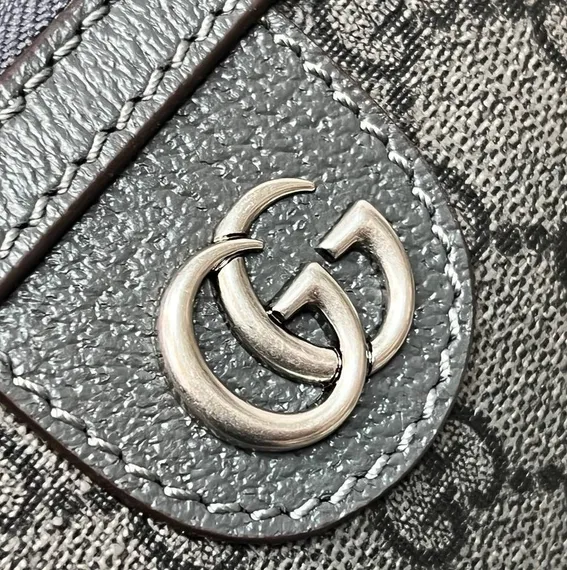 Поясная сумка Gucci Ophidia