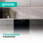 Духовой шкаф Gorenje BOS6737SYB