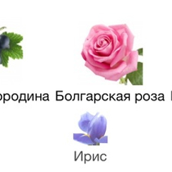 GENYUM Ballerina 5 мл