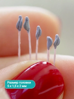 Тычинки крупные серые