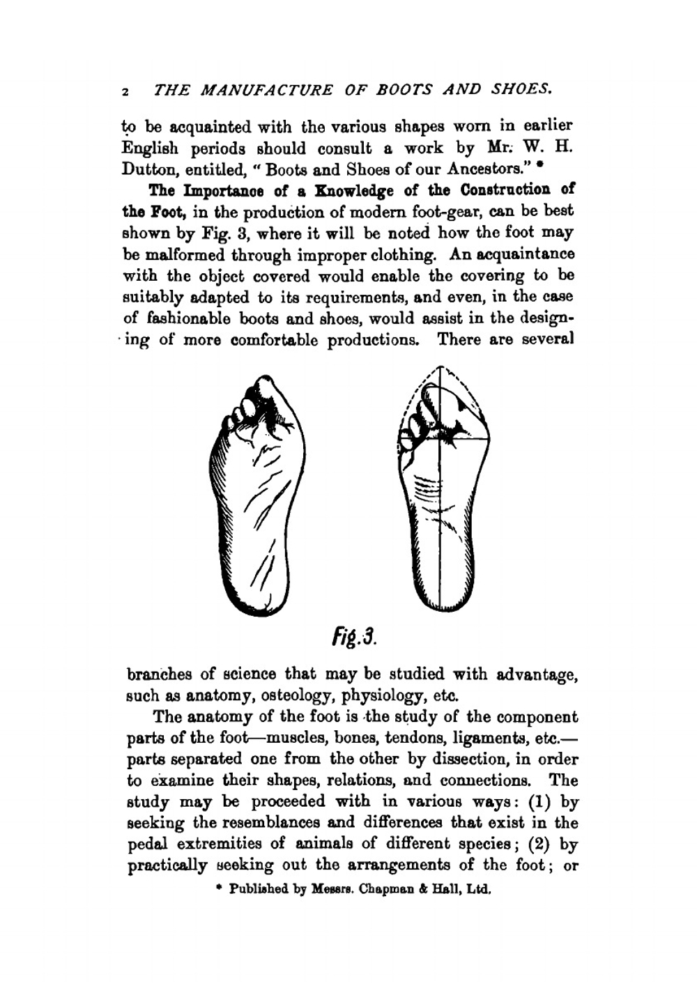 The Manufacture of Boots and Shoes | F. Y. Golding