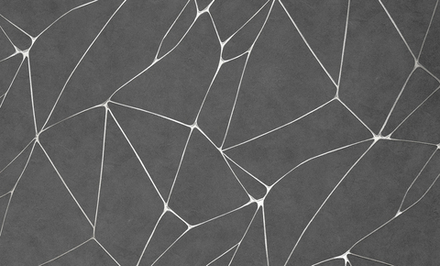 Ateliero 1,06 м 287249 Tempo