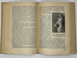 Терновский С. Хирургия детского возраста. М.,  МЕДГИЗ, 1949г.