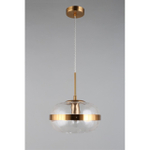 Подвесной светильник Aployt Gabriela APL.305.06.01