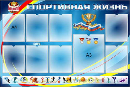 Информационный стенд "Спортивная жизнь"