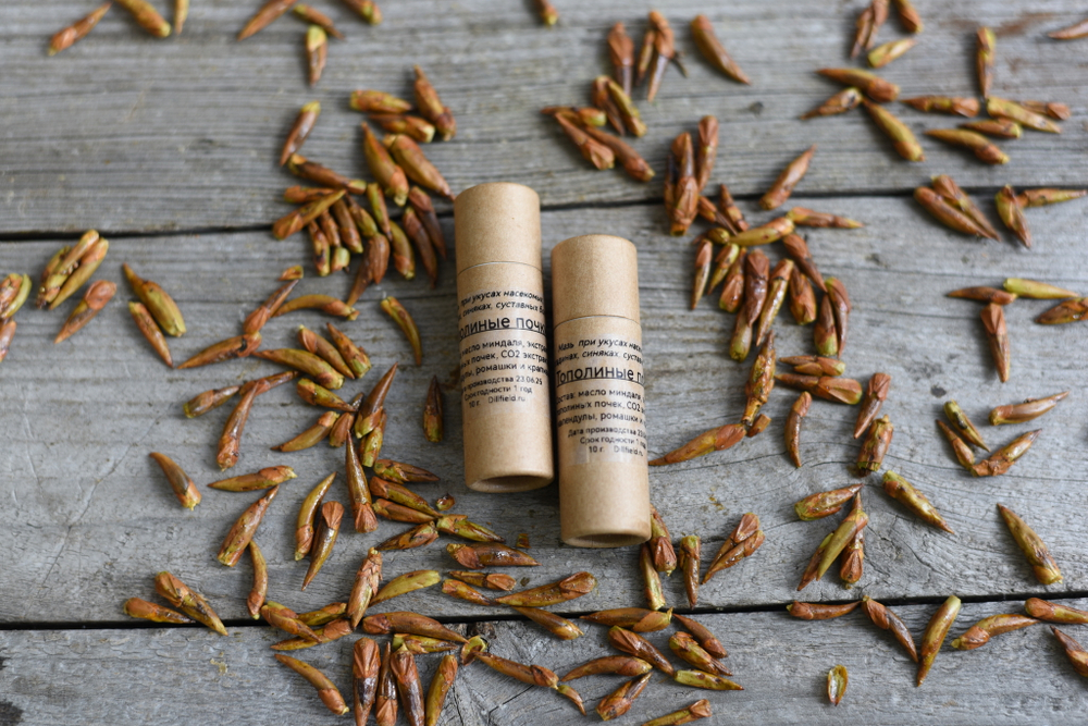 Тополиные почки, заживляющий бальзам