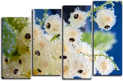 Модульная картина"Прозрачная смородина"