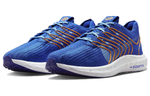 Кроссовки Nike Pegasus Turbo Next Nature