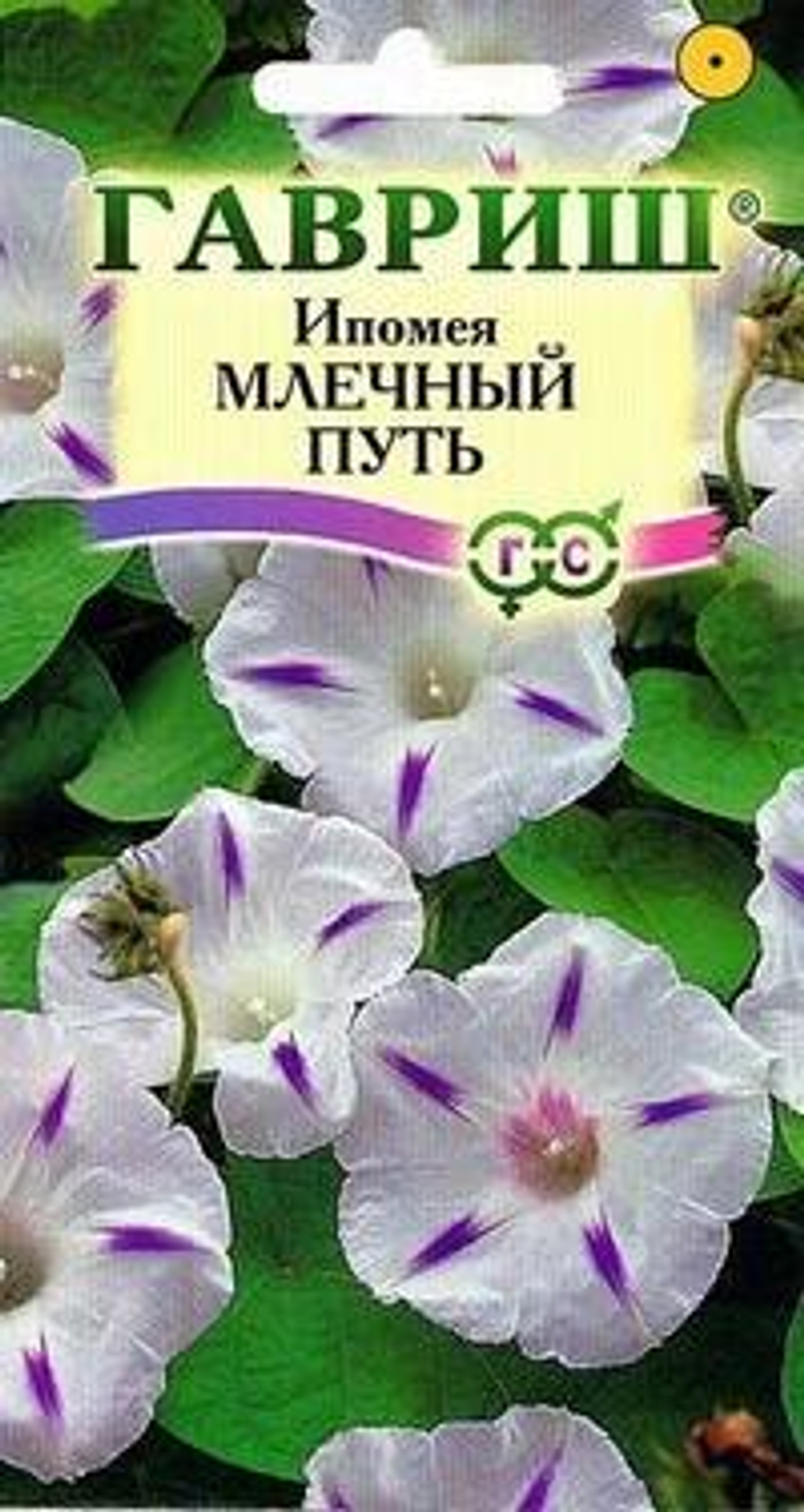 Семена Ипомея Млечный путь