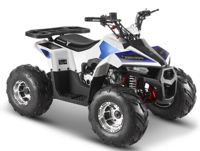 Yacota 110 Raposa 7" 2WD детский квадроцикл с двигателем 110 куб/см