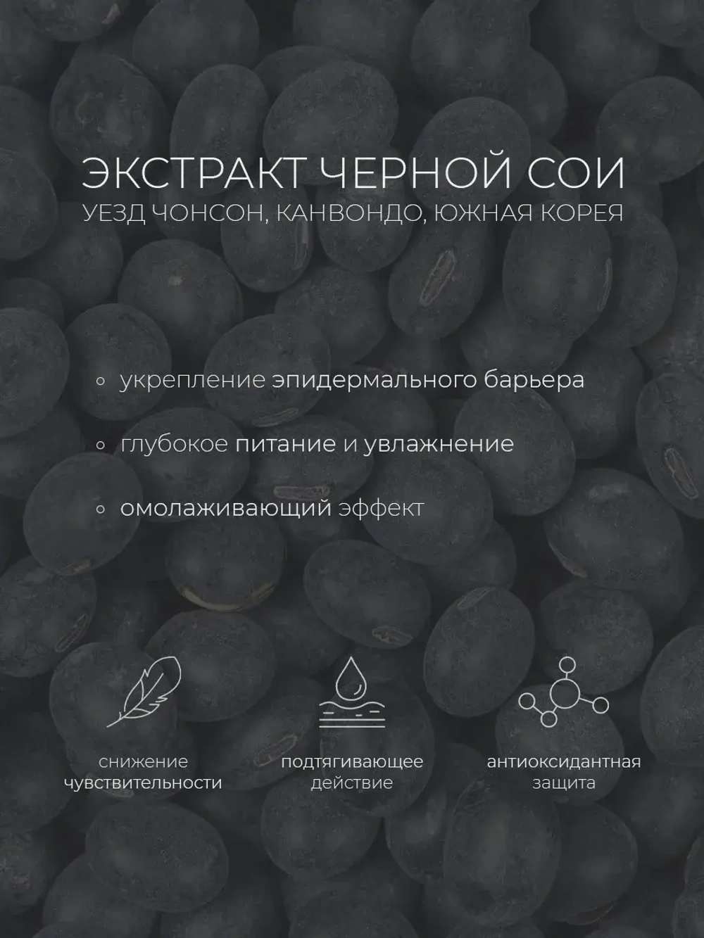 Round Lab Питательная сыворотка с экстрактом чёрной сои и комплексом витаминов Soybean Serum 50 мл