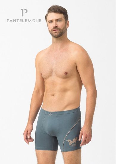 Трусы мужские боксеры Pantelemone PMHL-1350, серо-зеленый