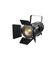 LightCraft Fresnel 300 ZOOM RGBAL