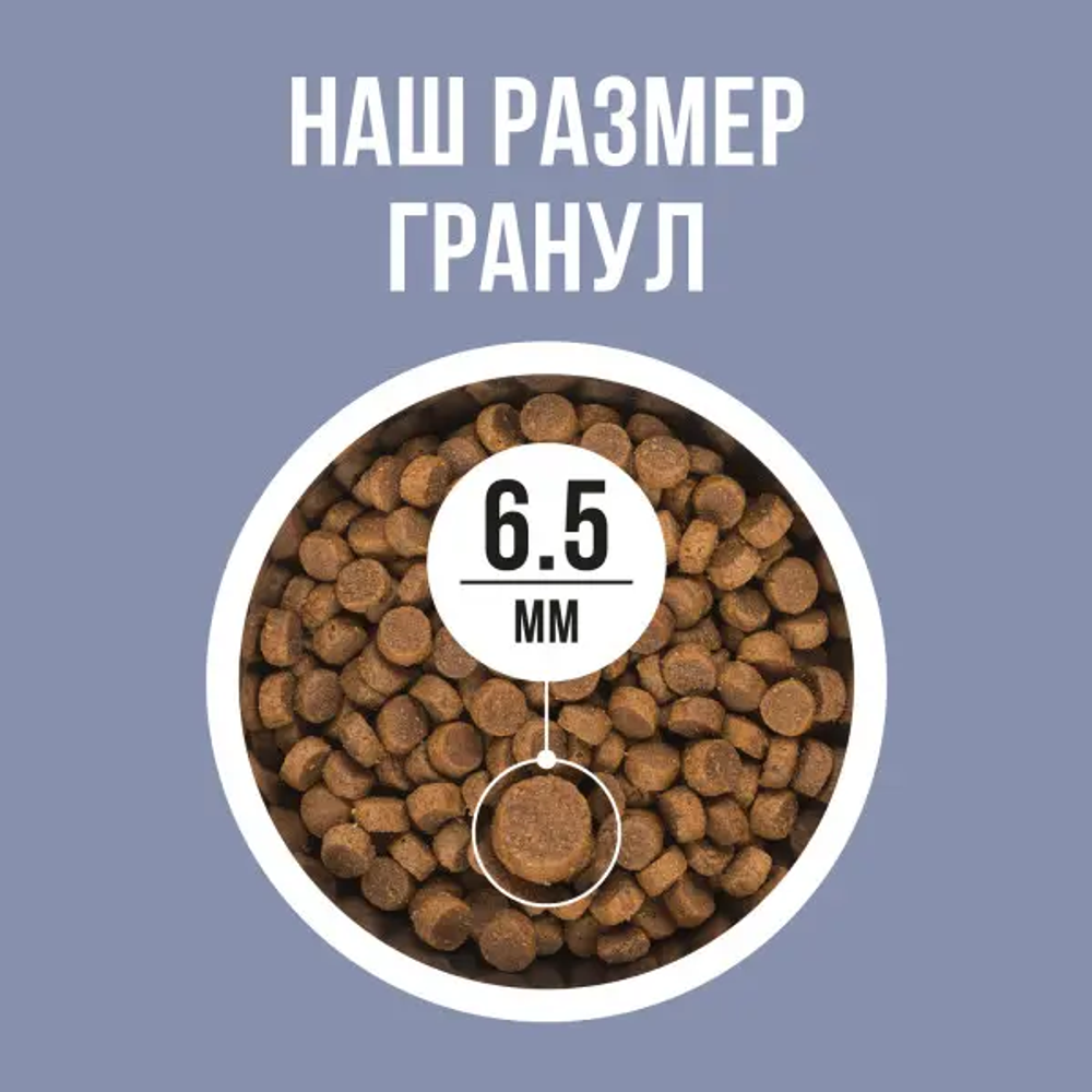 Bowl wow корм сухой для котят: индейка, курица, черника