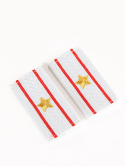 Фальшпогоны вышитые н/о полиция майор белые