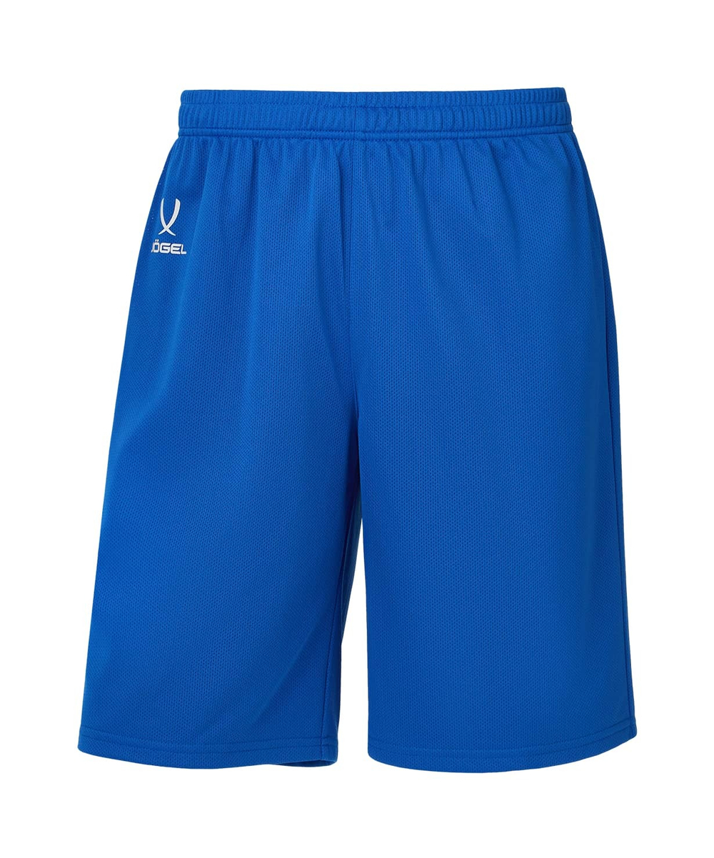 Шорты баскетбольные DIVISION PerFormDRY RBF 2S Shorts, синий